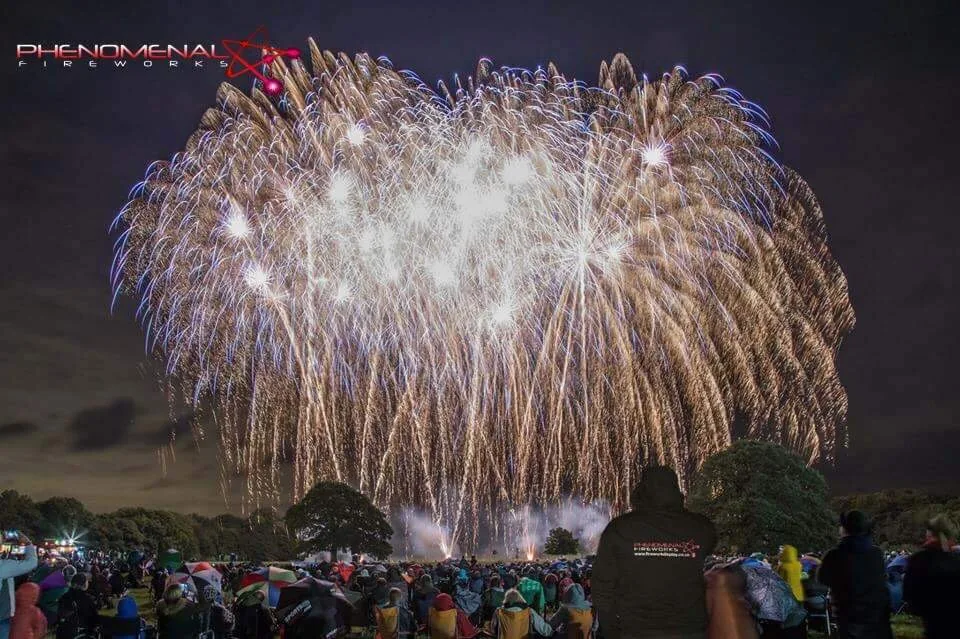 Fireworks bursting in colour above the display arena